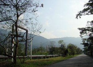 Parque Ecológico do Perequê em Cubatão